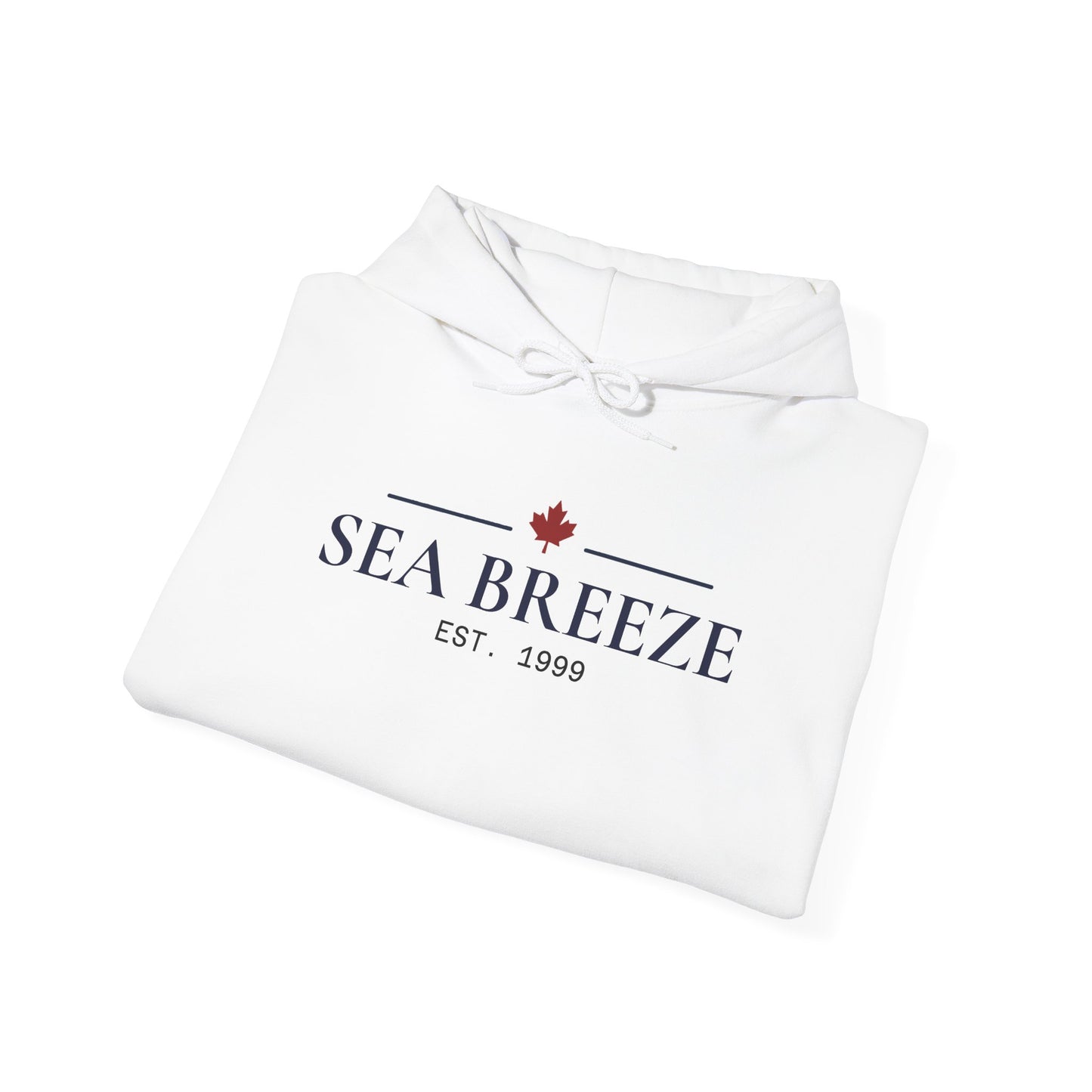Pontoon Boat Heavy Blend™ Hooded Sweatshirt