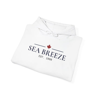 Pontoon Boat Heavy Blend™ Hooded Sweatshirt
