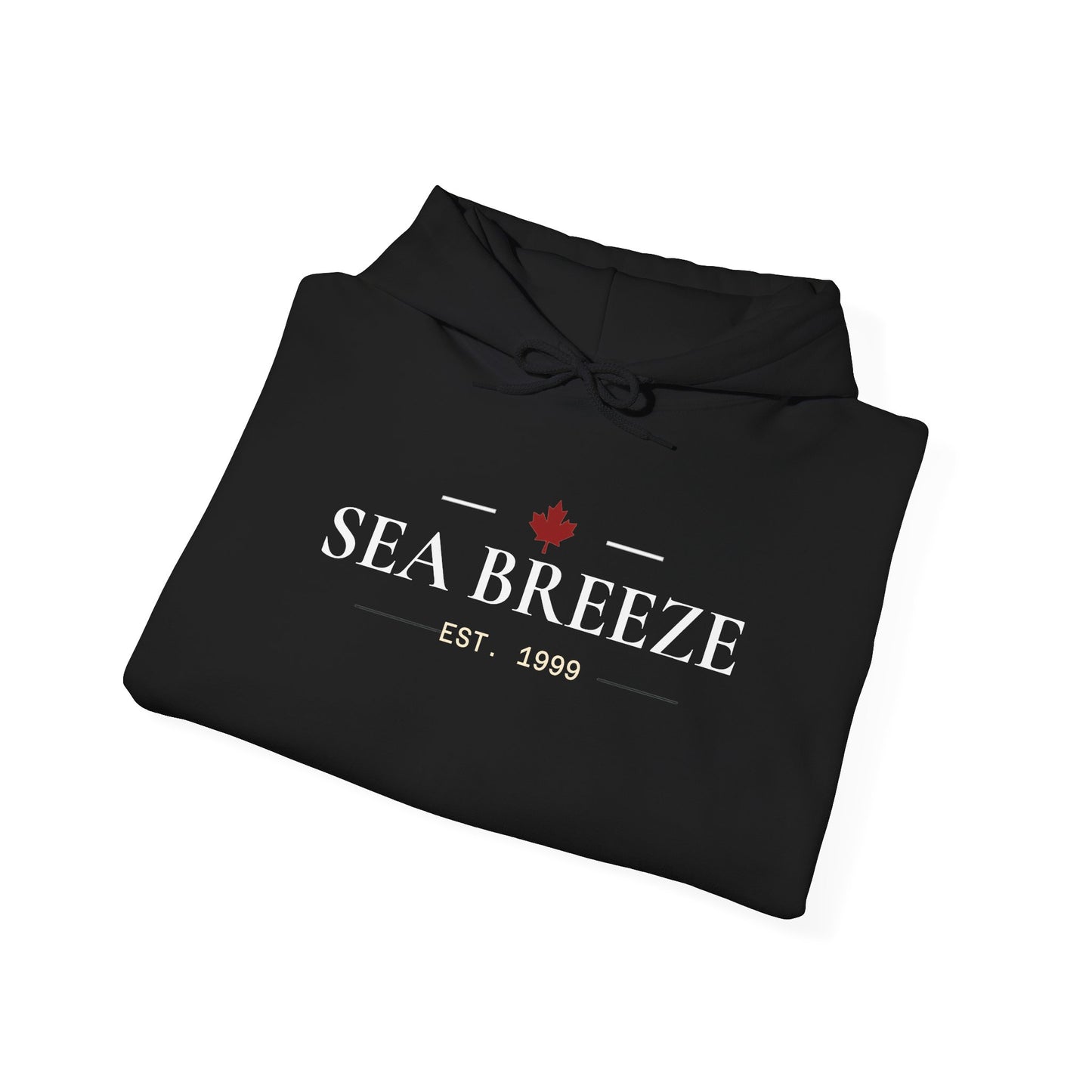 Pontoon Boat Heavy Blend™ Hooded Sweatshirt