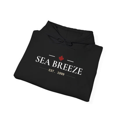 Pontoon Boat Heavy Blend™ Hooded Sweatshirt